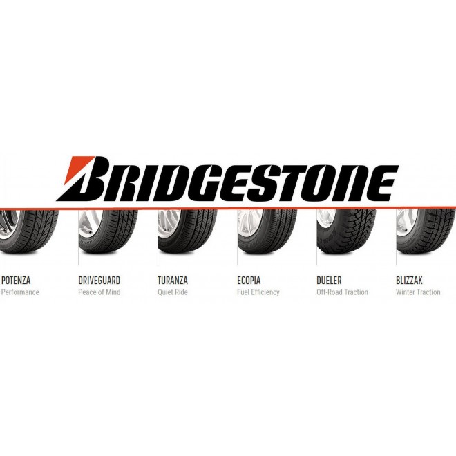 Bridgestone Blizzak DM-V2 285/45R22